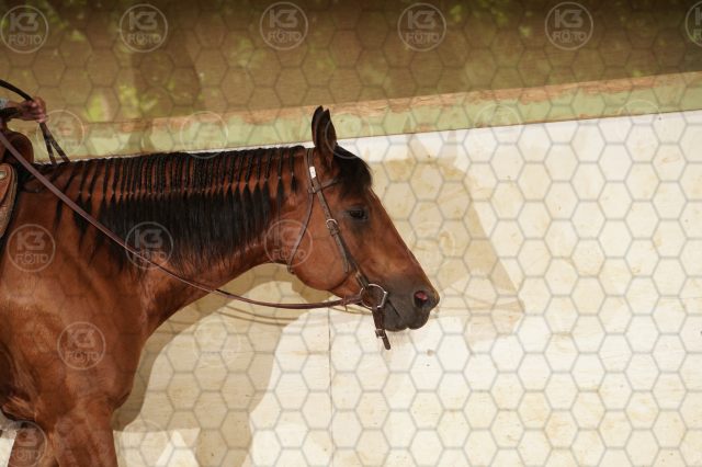 s_K3F09863.JPG